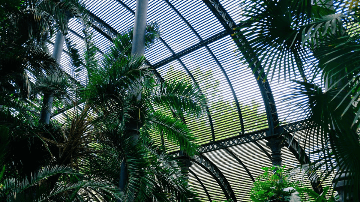Greenhouse Photo